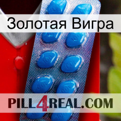 Золотая Вигра viagra1